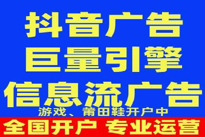 某电商平台的SEM广告投放策略及效果评估